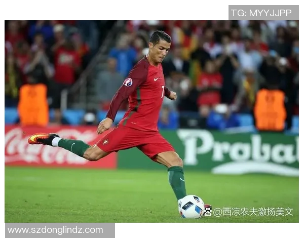 葡萄牙前足球明星的辉煌历程与对足球界的深远影响
