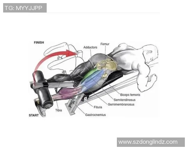 哑铃箭步蹲是否会对膝盖造成伤害的全面分析与建议
