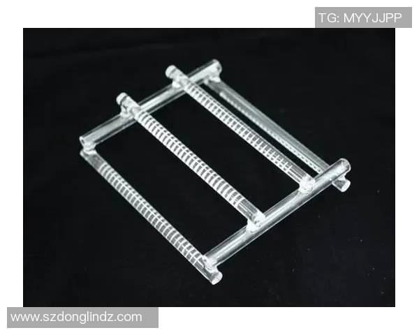 探索上海哑铃裁刀的独特魅力与工艺精髓揭示其在现代健身中的重要角色