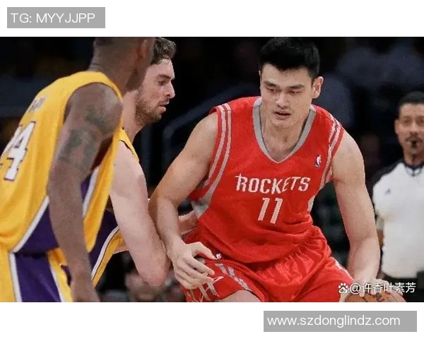 篮球明星标致的传奇之路与赛场背后的故事探索