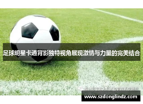 足球明星卡通背影独特视角展现激情与力量的完美结合