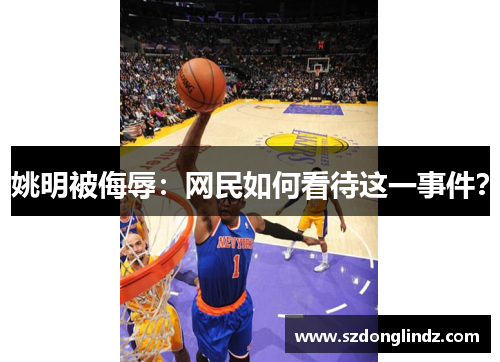 姚明被侮辱：网民如何看待这一事件？